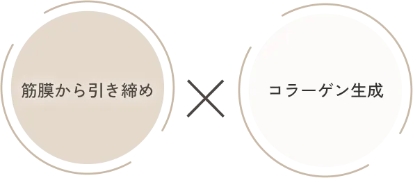 筋膜から引き締め コラーゲン生成