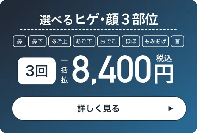選べるヒゲ・顔3部位 一括払8,400円